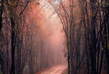 熊猫体育官网：韦球王新赛季正式官宣加盟山东队！曾效力恒大多年，未来值得期待.