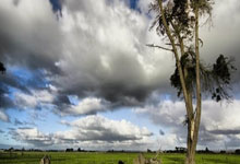 欧青联国米U19败走土耳其，意大利青训足球已经全方位落后.