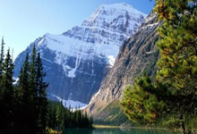 熊猫体育官网：诺里斯夺F1新赛季首站冠军 雨战引发多车退赛.